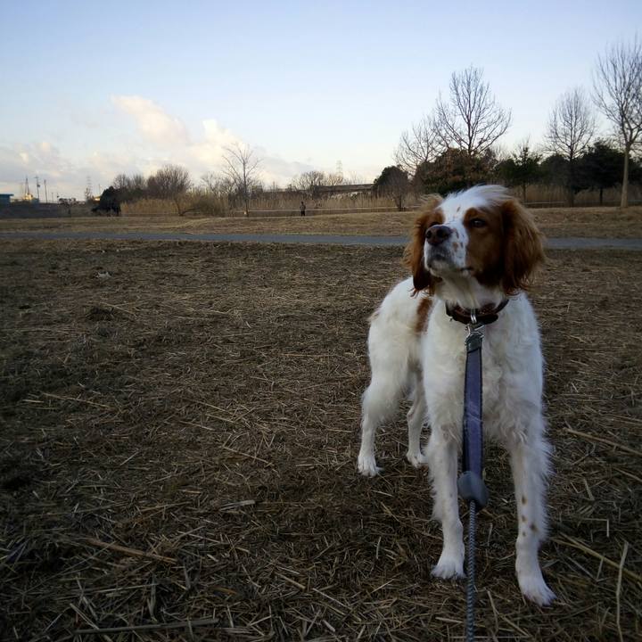 025094bb 550b 4a04 b10f 01ede5095a39 1517876642979