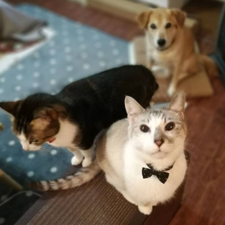 0250c294 6429 44d7 9476 2f02ecf5bcc8 1547813183417