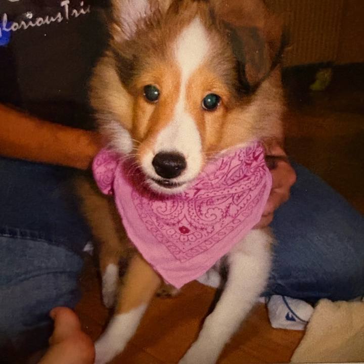 0250d4ab 248b 4814 8bdd 859be40749bc 1747138554339