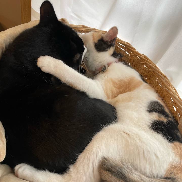 025120ea 230c 4b56 a20d 865d1ecf5154 1669852585711