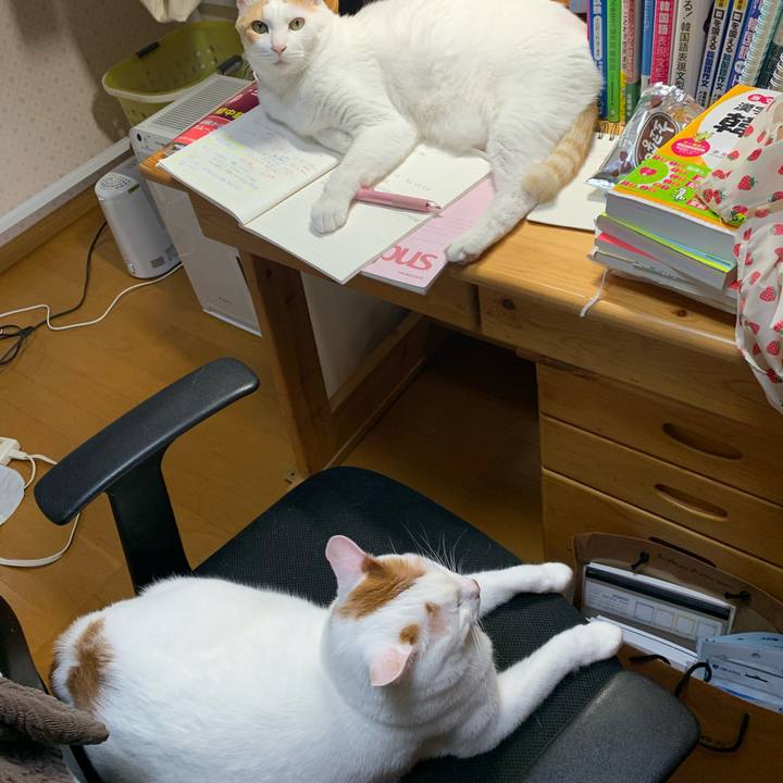 0251277f 4aa6 4e2b a801 5e2c5e710180 1620488571946