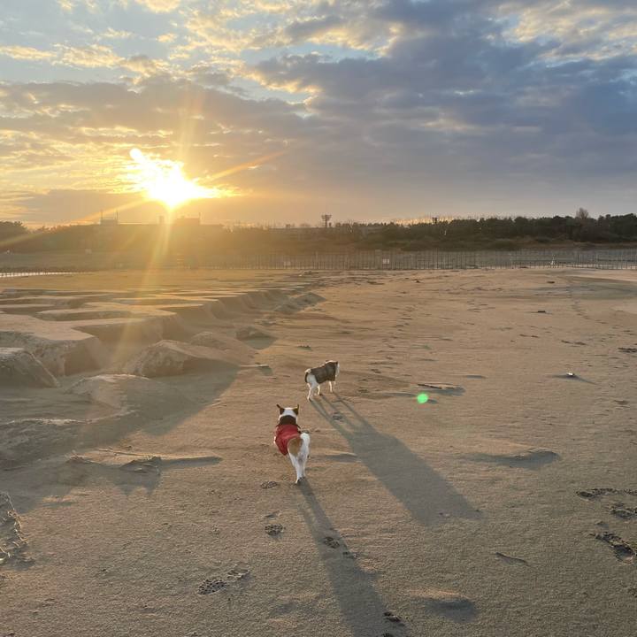 0251508c b257 4ece b0fe a830fe0f3e26 1765153819036