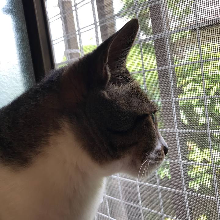 02519b28 01be 4309 a1d8 294326a74927 1529112971277