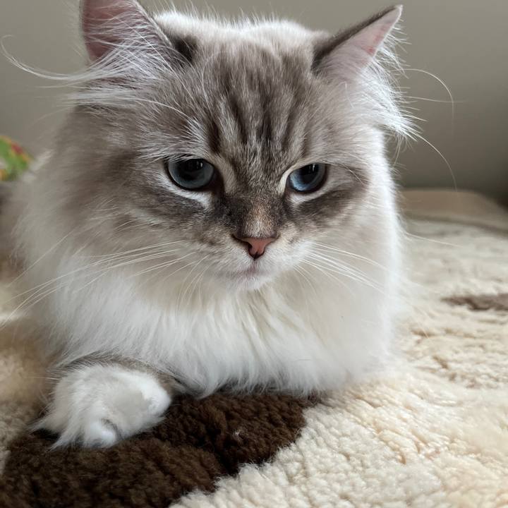 0251b21d 54de 4dfa a070 3014abdeb470 1725398923036