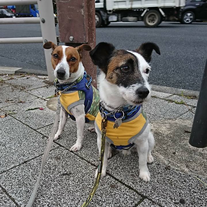 0251b521 b92a 47ba aa93 c431929d692f 1589235205222