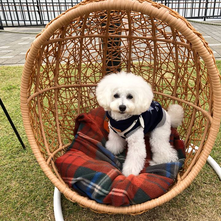 0251bb44 daab 4be3 a669 f9bc76f43d3b 1672574152926