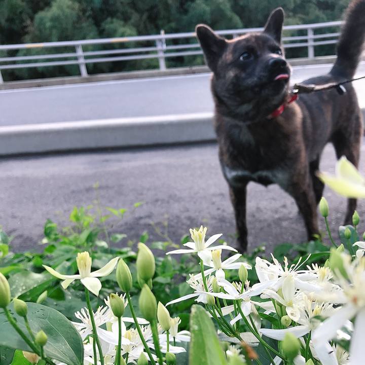 0251ef20 2240 4aec acc3 bf6b4eec5189 1536566971616