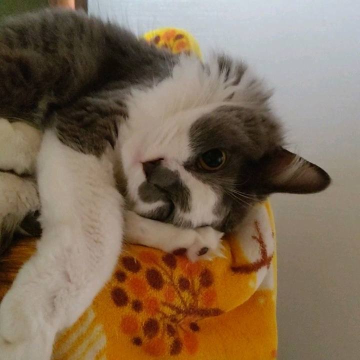 025226df 6e5a 4f2f 84c1 7a8b054f8541 1598777053526