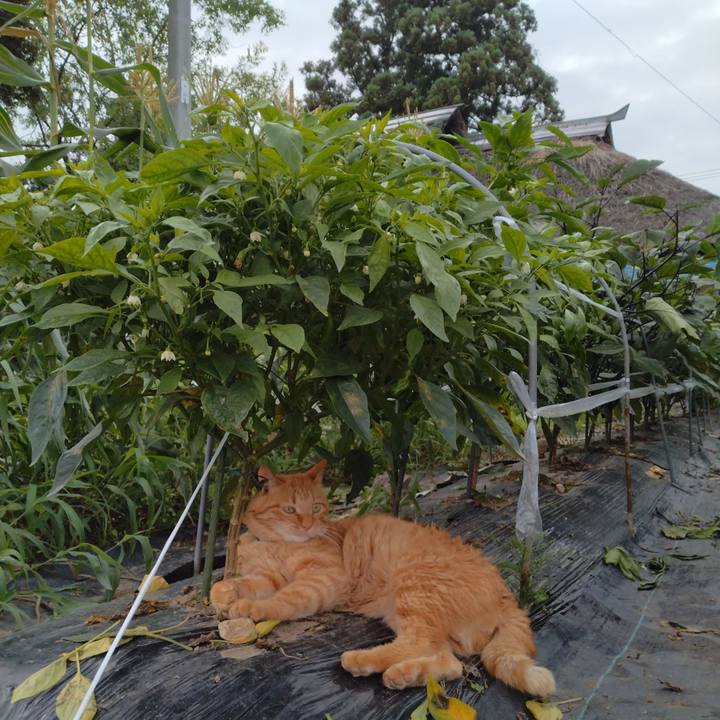 02524737 3c8f 4e48 ac42 6336bab2ddb9 1721120767715