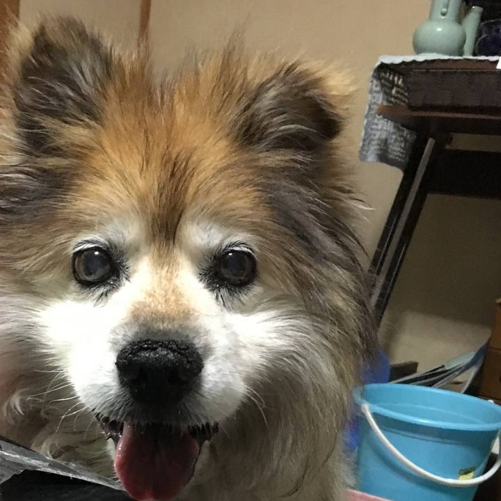 02526e5f 4435 4c5e 9a06 48e2e03c381a 1563299439328