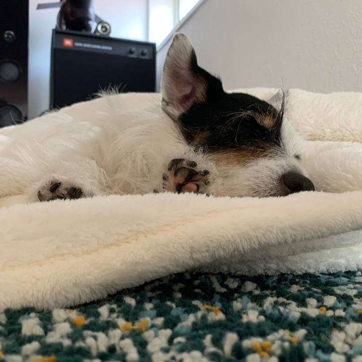 025276d1 032d 4acc af7d 946fed0fdea3 1688362190390