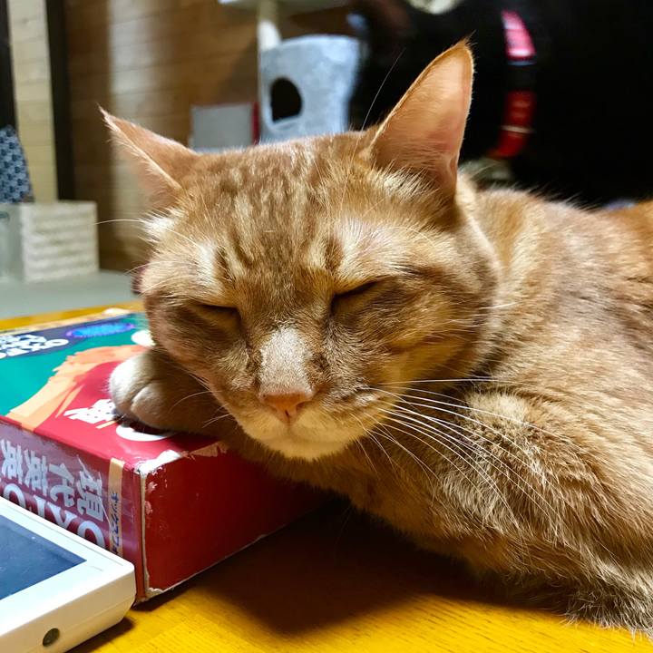 0252a5c1 87c3 441d 9074 0001221b8d45 1532439175656