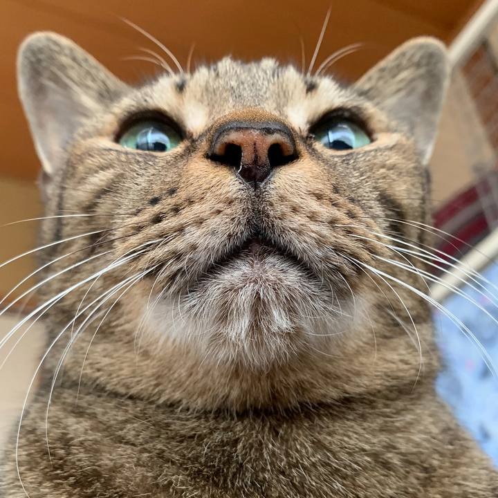 0252bcfe 9867 4832 851c 8a24de617d1c 1548464254313