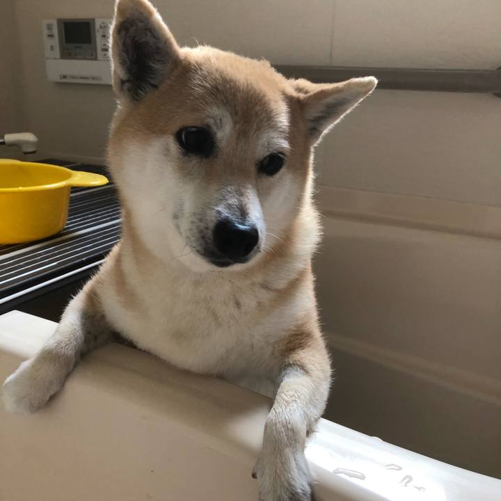 0252be89 12d0 425a b28f 5153f5a58c09 1560858013176