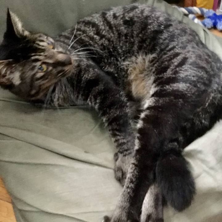 0252c6a8 4def 496a af96 759a10c15277 1570841883577