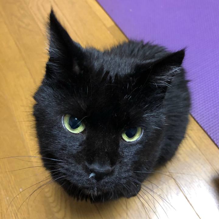 0252da14 59d6 4a81 bdfb 194ecd7ed7df 1605786212827