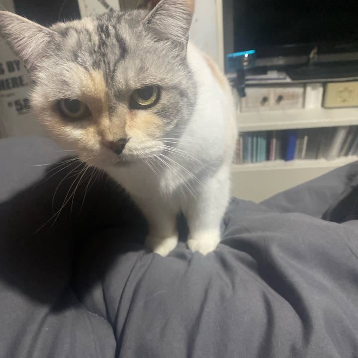 0252ed67 94dc 404b 83ad 9013350c1737 1763672891680