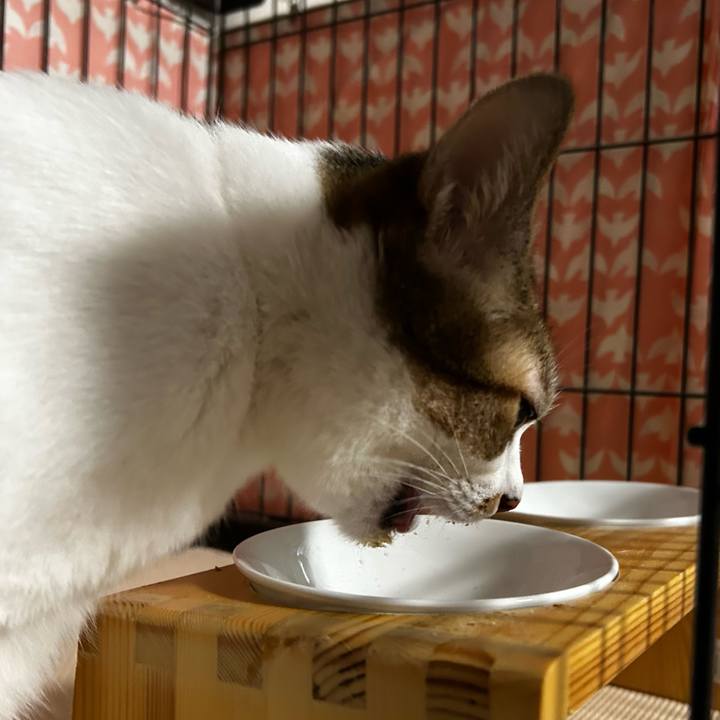 0252fb68 3085 428b bc41 7d357355ba1d 1758235211515