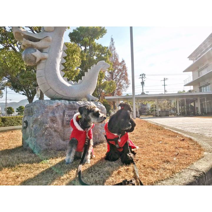 02534012 3f8c 426d bd0c e47a6d7bfc74 1577263573750