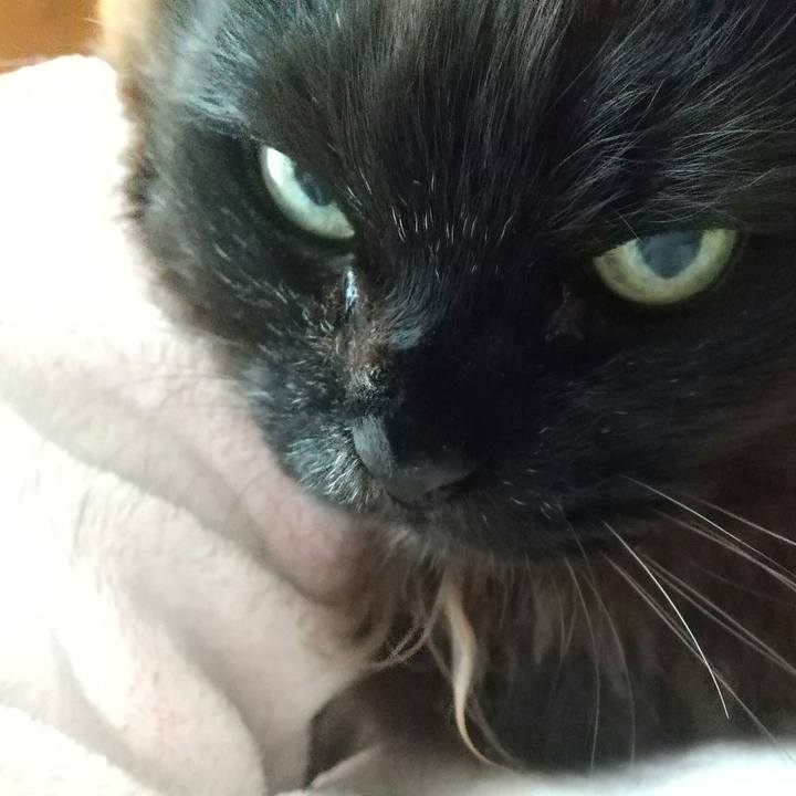 02534055 84bc 4865 9a84 2e5c98a11379 1709678133303