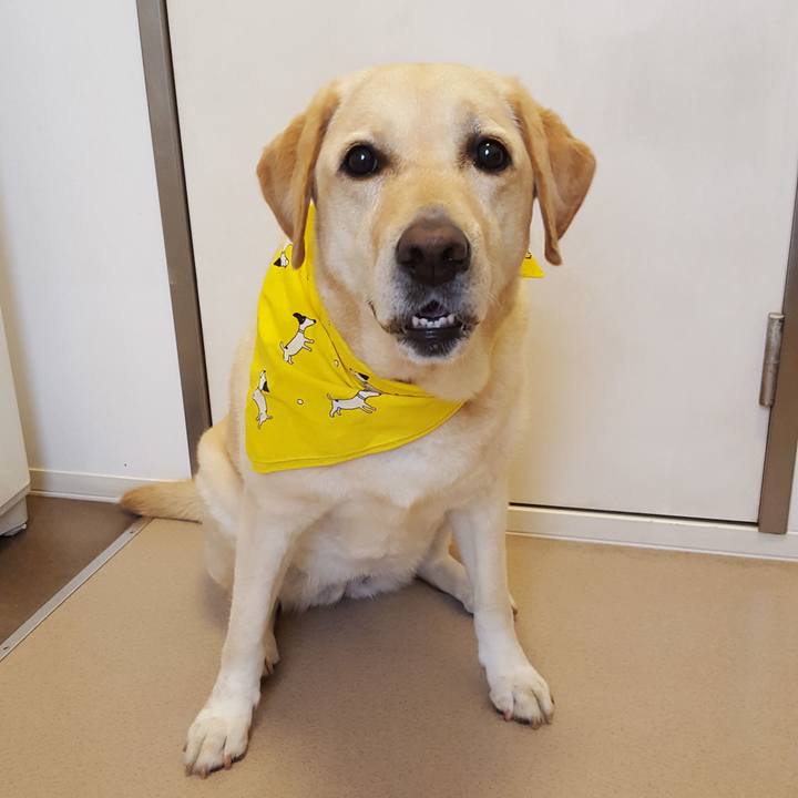 02535114 2682 43aa a864 a89a4740631b 1567750568294