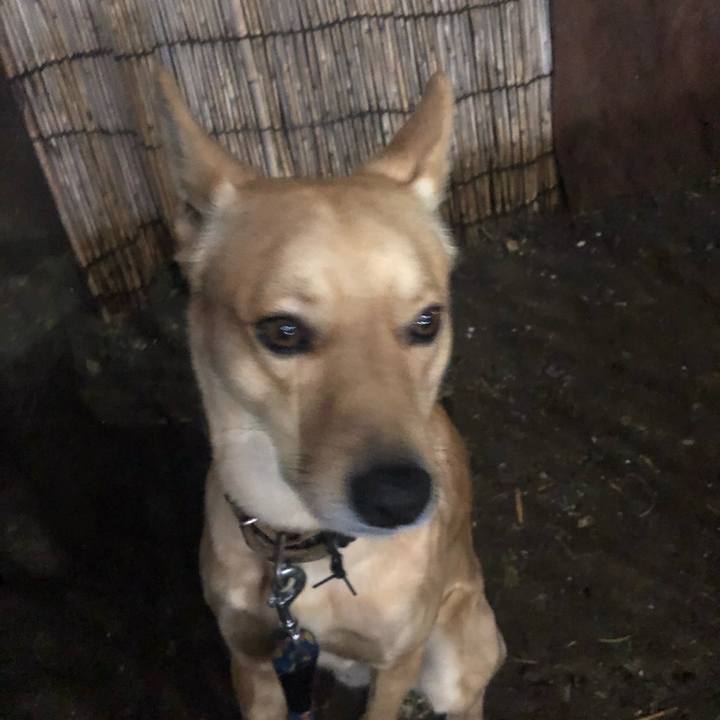 025369f4 fd94 430f adc7 64b91ccc7ff0 1578484952329