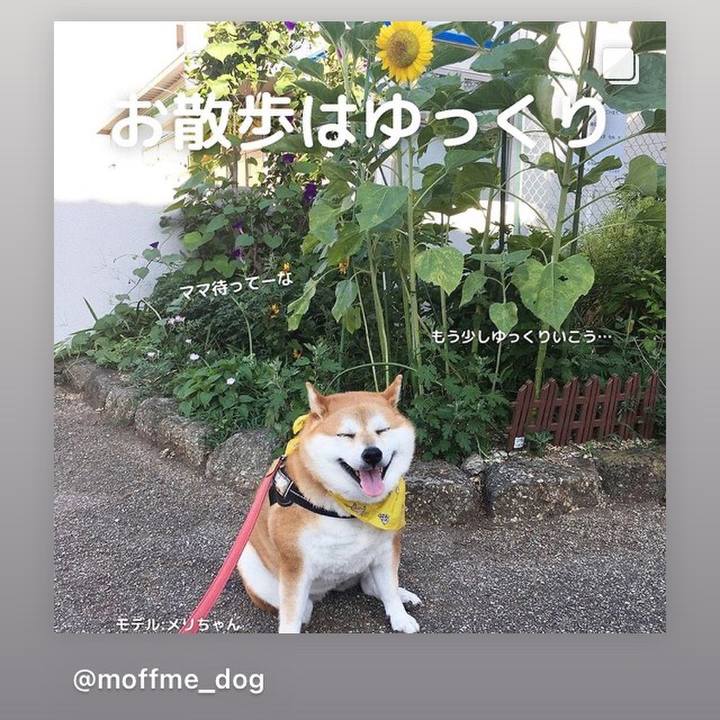 0253700d a7da 429e aa5d 2b2d052d8882 1628073974878