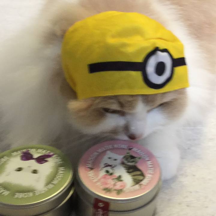 02537341 b33c 4880 878c 7d6241e9e2ed 1526628278807