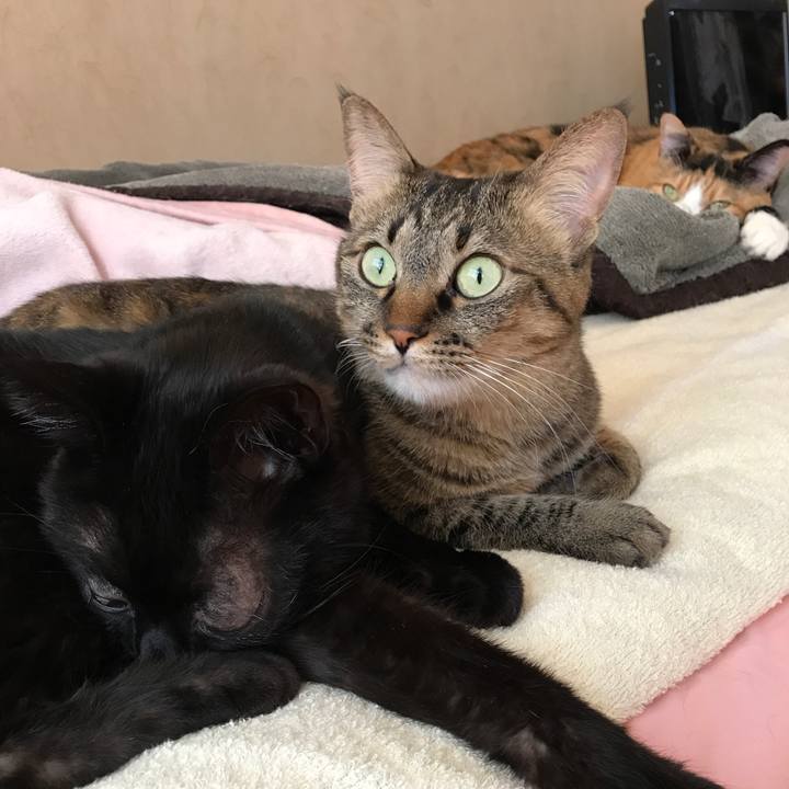 0253aad4 d96d 4ed7 84e4 80297b824e62 1524285101194