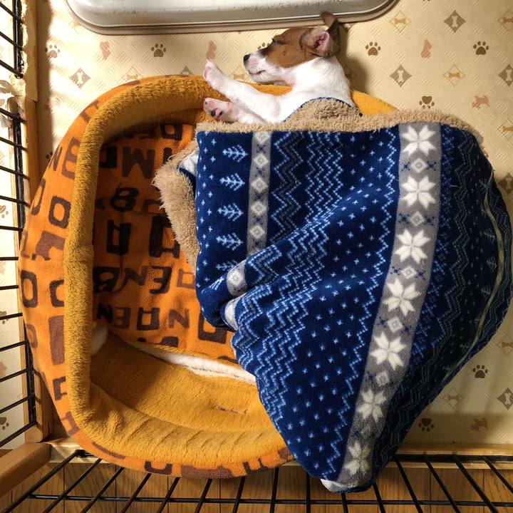 02543298 c13b 4e00 8bcd 535bd5fec655 1512649523668