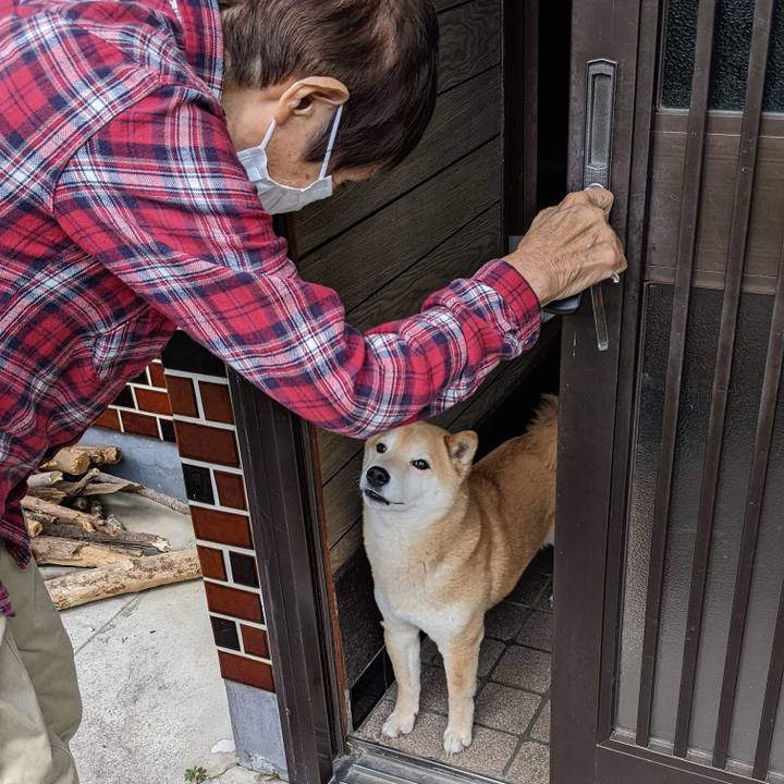 02544cbf 7857 40d8 9653 20392a2534bd 1649940947680