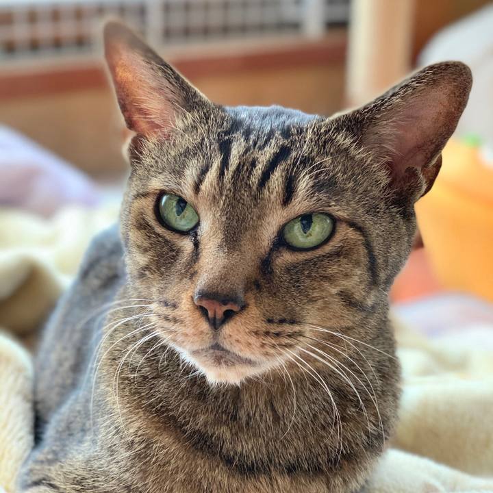 0254592a 9680 43bd bd6b abb1bc9c1126 1583370715721