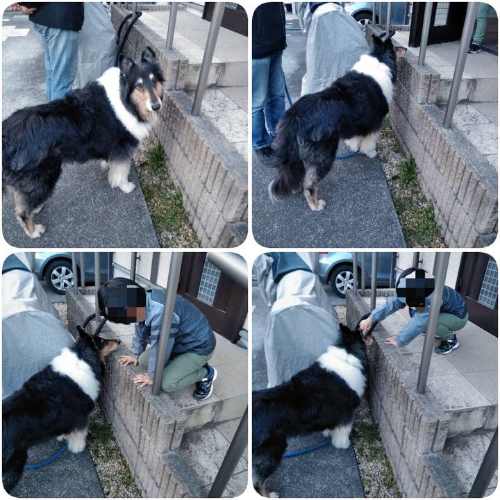 02545c95 3406 4e1d bd70 973712389fa8 1544444825834