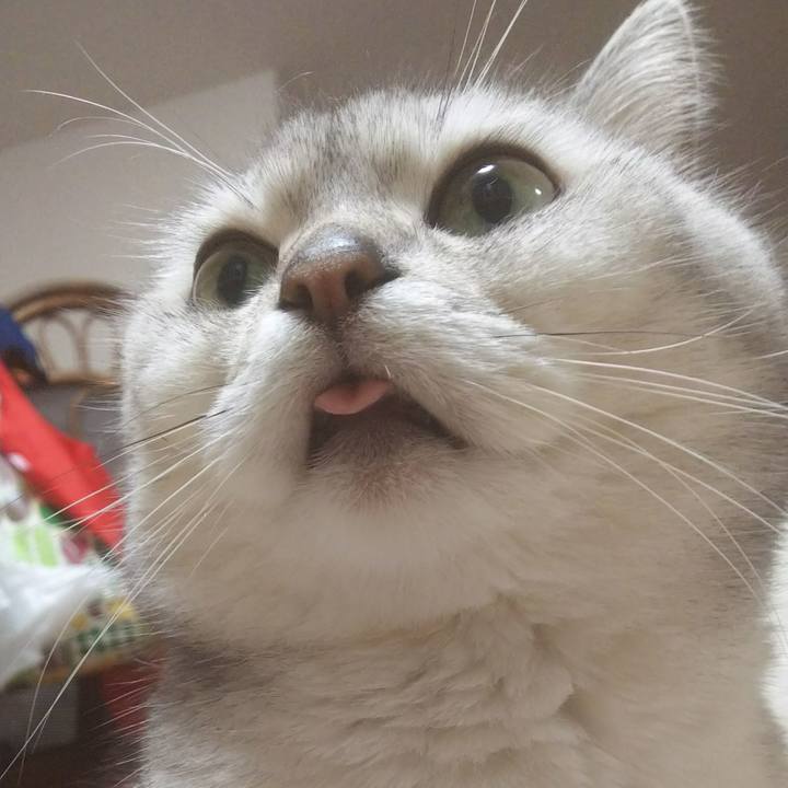 02546c65 ebc7 4c41 8135 a23e5a45f7fa 1524829692778