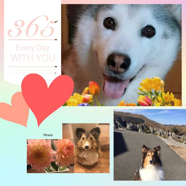 02547963 ca76 46bd 94f9 bad1cf02cf1f 1508610292703