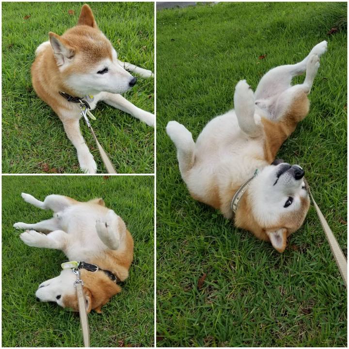 02548714 a676 49a3 bbea daf49ce353b2 1661990972454