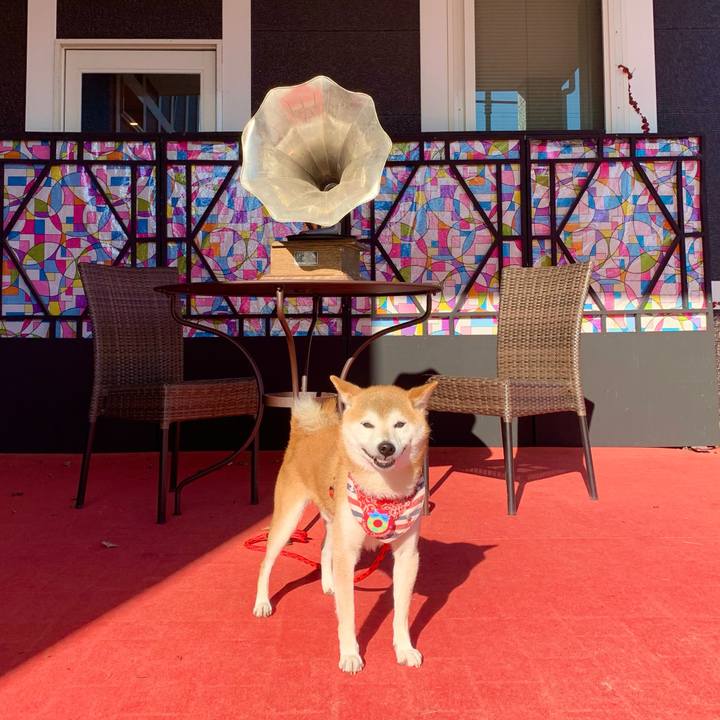 025498c5 7a31 480d bde1 e41392f6cf4a 1640340666457