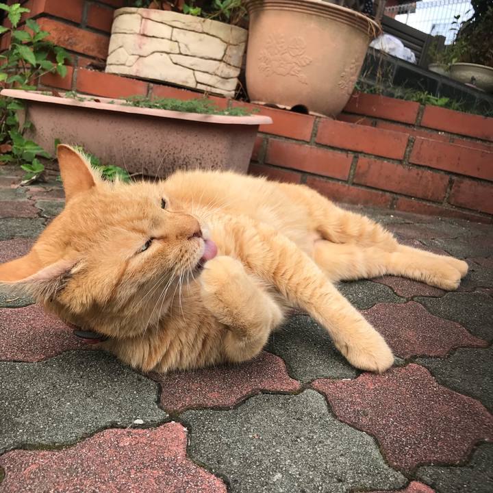 0254c111 81e9 4d1f 9f8e ced8039b758a 1536653781849