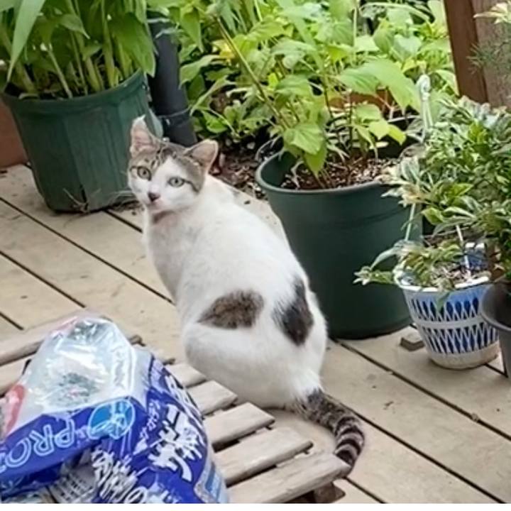 02550cf7 b4d5 4e12 8f30 209b8f1df389 1594079862361