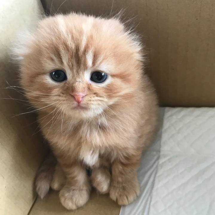 02552b78 e003 4cec bc50 79fbb95ef4a8 1513597659639