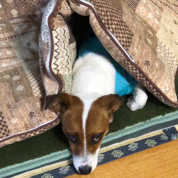 025556c7 d46a 4d6d 85f0 e744c051e112 1529754594103