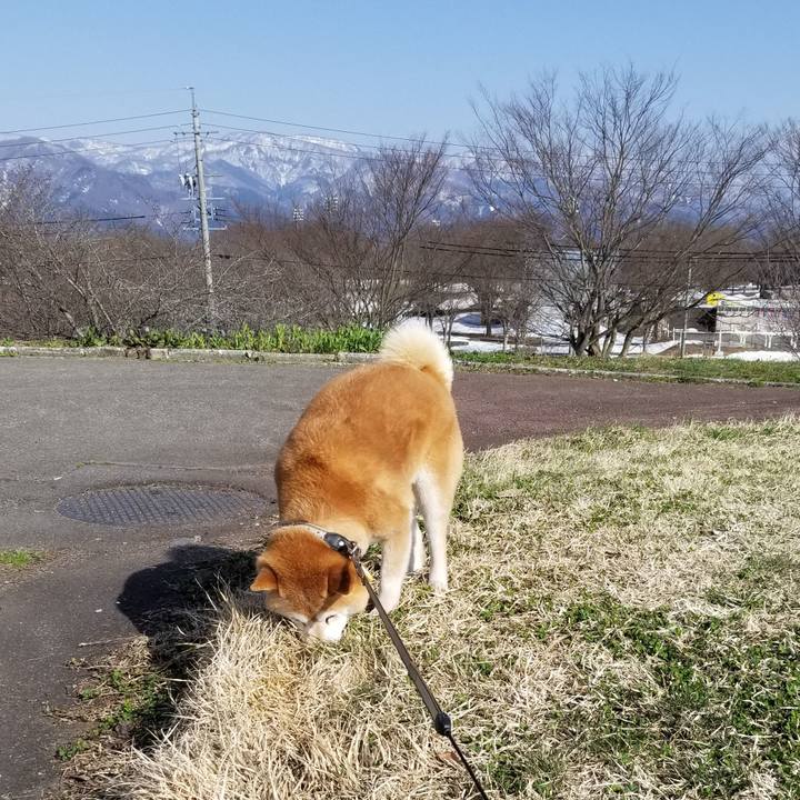 025586ff a25e 4fe9 9e44 6ee9f2231c00 1649575132962