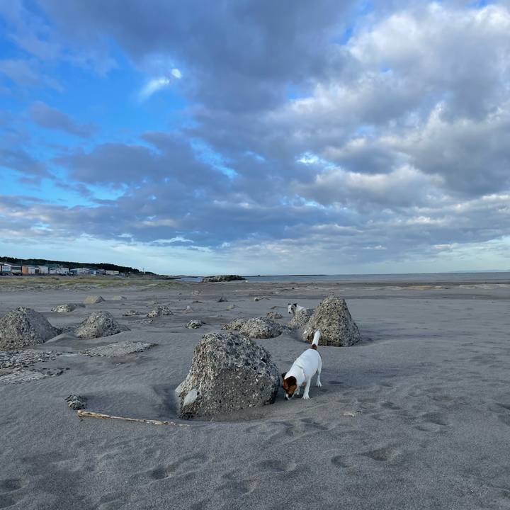 0255ad2d c179 417a a56a f493b22e3c3c 1730167843489