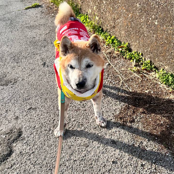 0255b0b4 209f 4bef a79a ab484f4af03d 1765001934211