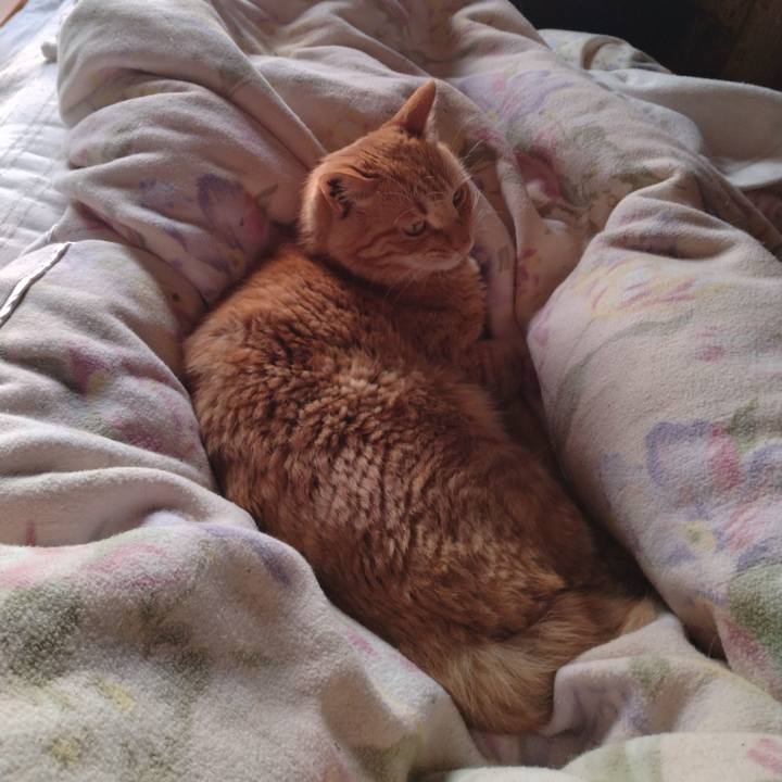 0255cf6c a402 4330 9ced 166735a8004f 1686347972693