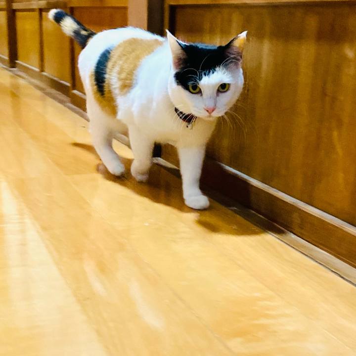 02560cfb eafb 4319 b92d 4700385757fc 1674684729796