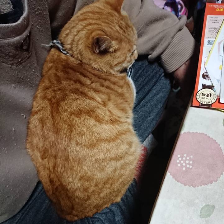 02561876 a554 4f94 9ef2 407f370ef7ee 1575409385976