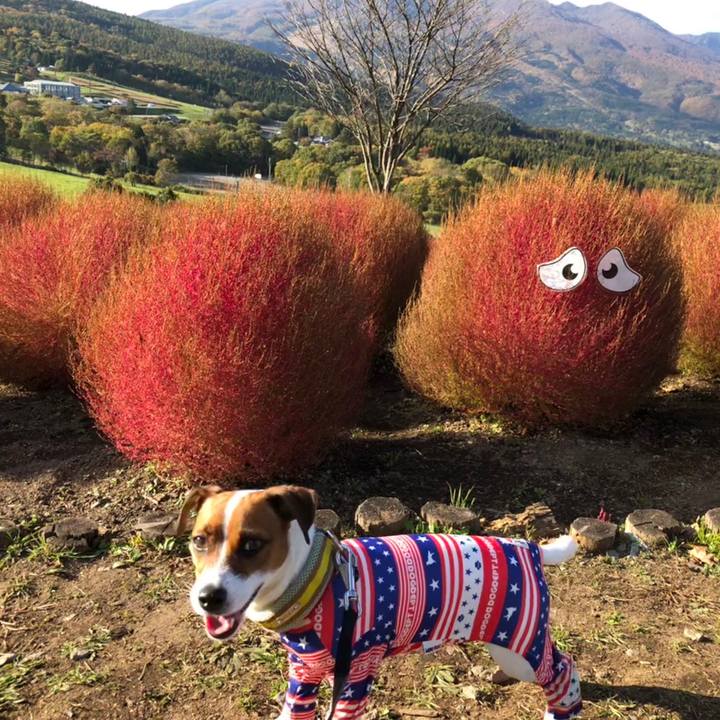 02562870 02f8 4920 bdf8 ce37fa8a114c 1540280057874