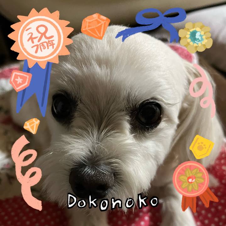 02563559 b246 45b9 96db a7adc944e8db 1685968619464