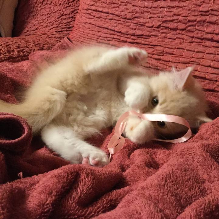 02563c10 f0fc 4d48 acd8 47a6280ca7bc 1597236458851